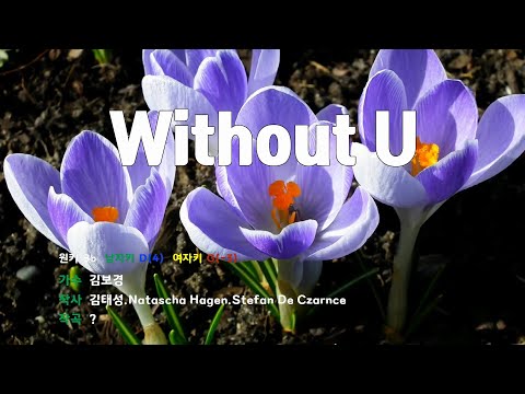 [은성 반주기] Without U - 김보경