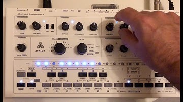 “Avalon Bassline - Where no 303 can go” by Friendly Noise