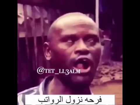 نزول الرواتب