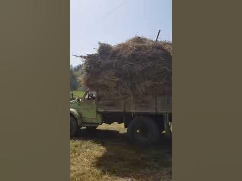 КРАКАДИЛ ДАР ТАВИЛДАРА ,,САРИ-ДАШТ,, - YouTube