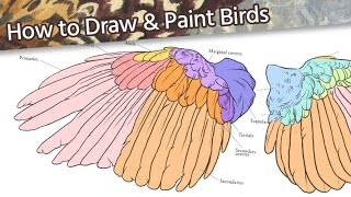 How to Draw & Paint Birds // Part 4: Wings // Mary Sanche