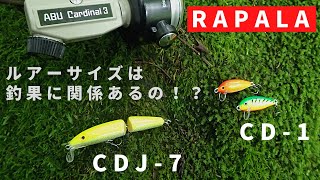 Fishing with the World's SMALLEST Crankbait? The Rapala CD-1 (Lake Estes,  CO) 