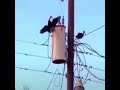 Lol