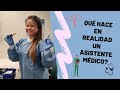 Todo sobre ser un asistente medico en Estados Unidos/qué es en realidad #asistentemedico #MAinUSA