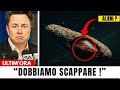 Oumuamua È Tornato con il Suo Fratello Maggiore e Dobbiamo SCAPPARE!