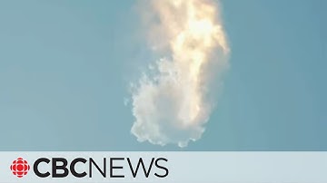 SpaceX Starship rocket explodes on test launch