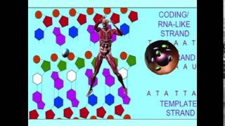 EVOLUTION MAN AND THE COMPLEXITY OF CELLS