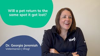 Will a pet return to the same spot it got lost? | Lost Pet Prevention with Dr. Georgia by Wag! Dog Walking 35 views 9 months ago 44 seconds