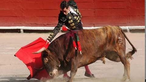 10 facts you learned in school that are completely wrong