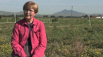 What is Carbon Sequestration