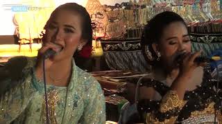 Download Lagu ALL SINDEN PAMBUKO 2 KRIDO LARAS MP3