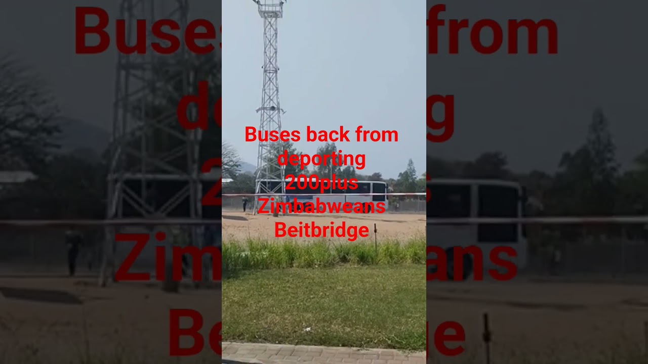 South Africa deport 200plus Zimbabwe illegal immigrants 