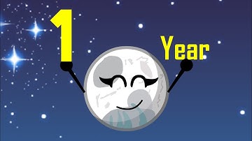 Thank you for 1 year!