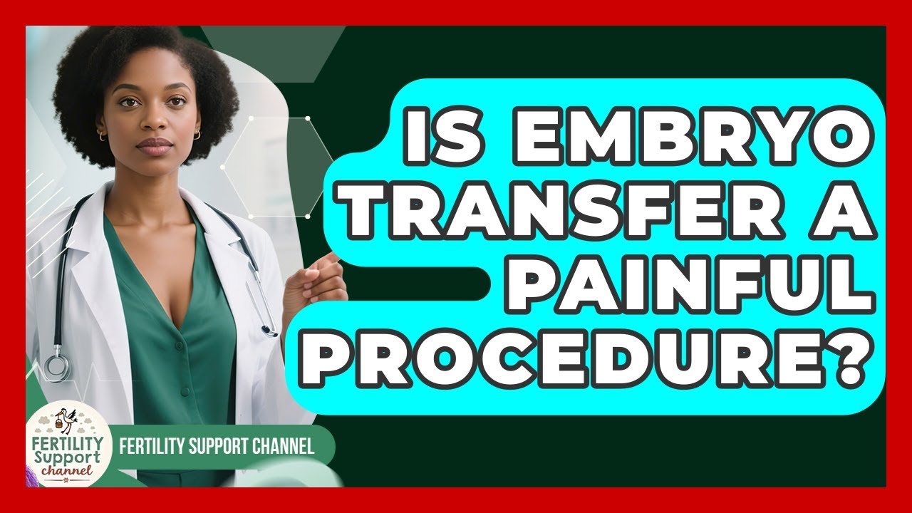 Is Embryo Transfer a Painful Procedure? | Fertility Support Channel