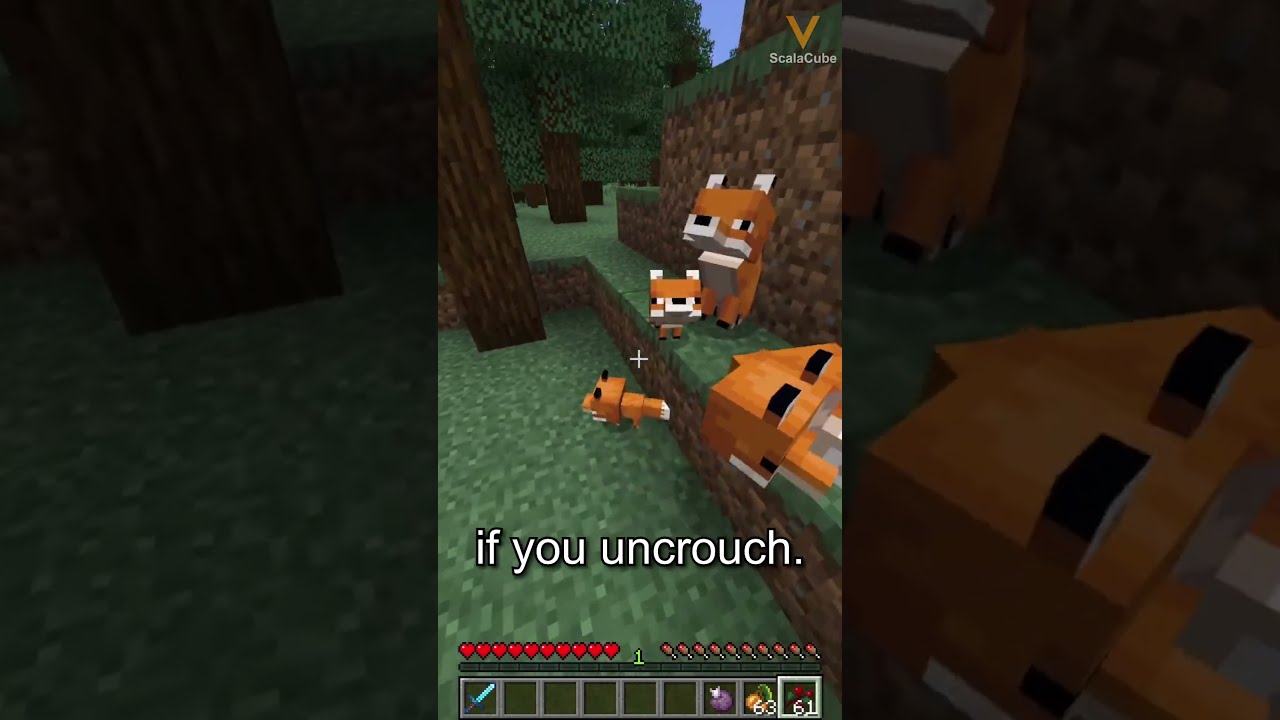 How To Tame A Fox In Minecraft Scalacube