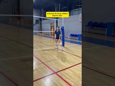 Voleybol Reflex Topu