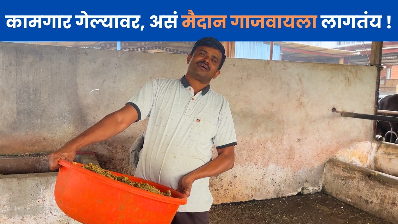 कामगार गेल्यावर, असं मैदान गाजवायला लागतंय !