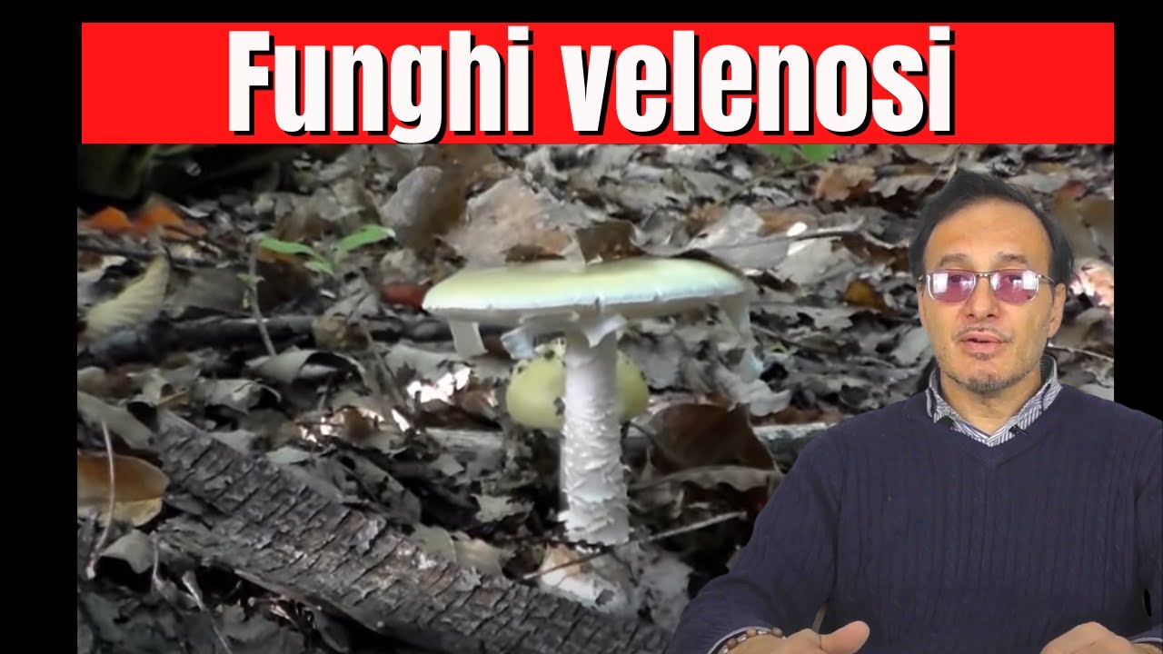 Guarire un fungo su piedi