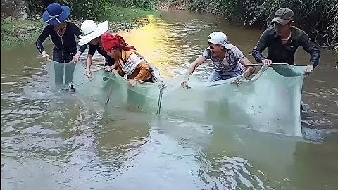 Cách Bắt Cá Suối Độc Lạ Của Người Miền Núi Tây Bắc - Tập 1 | Đồng Bào Miền Núi