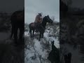Laying one down on Big Mac #ranching
