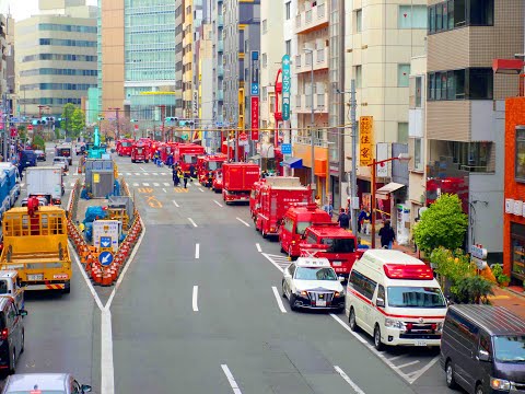 2025年3月27日 火事と桜 令和7年 みんなのアルバム
