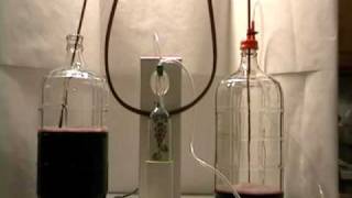 Bottling, Racking , Filtering , CO2 removal  using the Allinonewinepump .