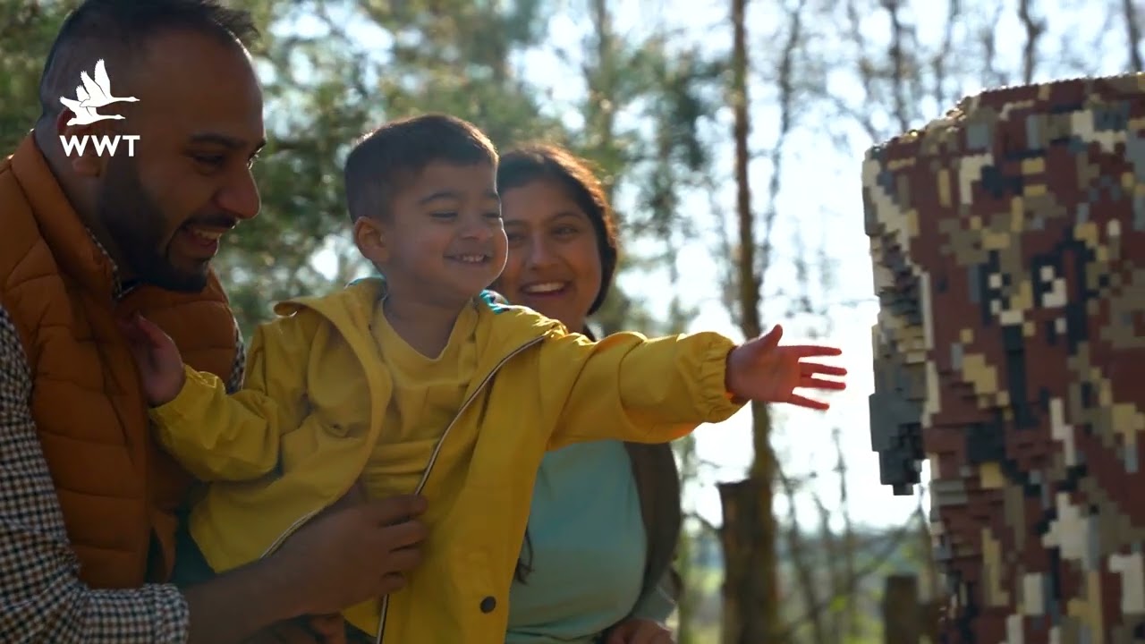 LEGO® Brick Wetland Safari - this summer at Llanelli Wetland Centre