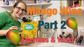 Mango Wine Fermentation Process PART 2 Peptic Enzyme and Yeast