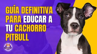 10 TRUCOS PARA EDUCAR A UN CACHORRO PITBULL