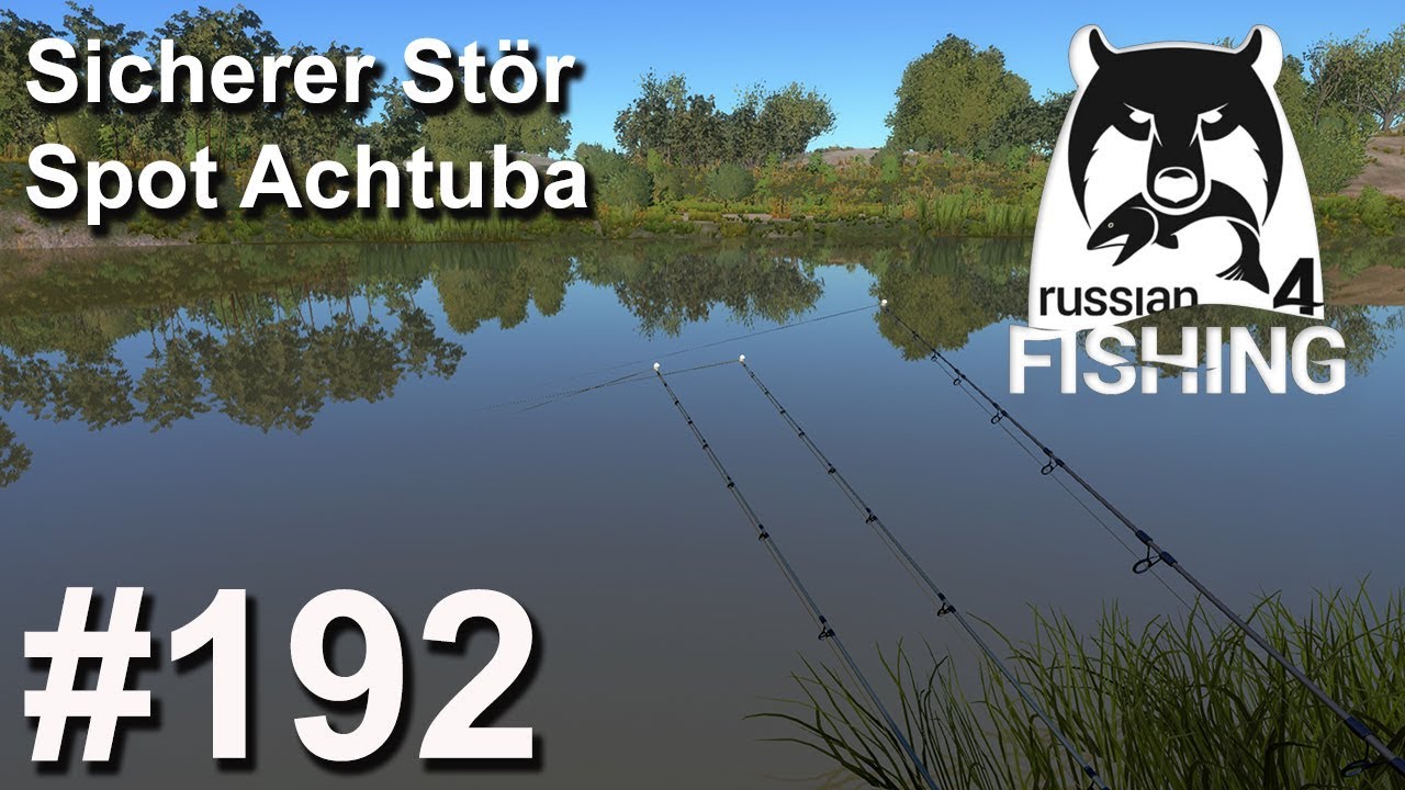Aktiver und sicherer Stör Spot an der Achtuba 🎣 🐋 | Russian Fishing 4 