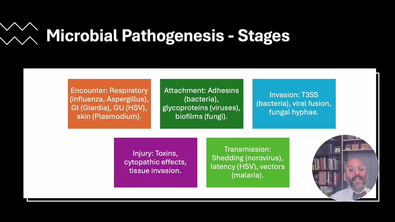 Sesion 2 N 717  Infection and Immunity