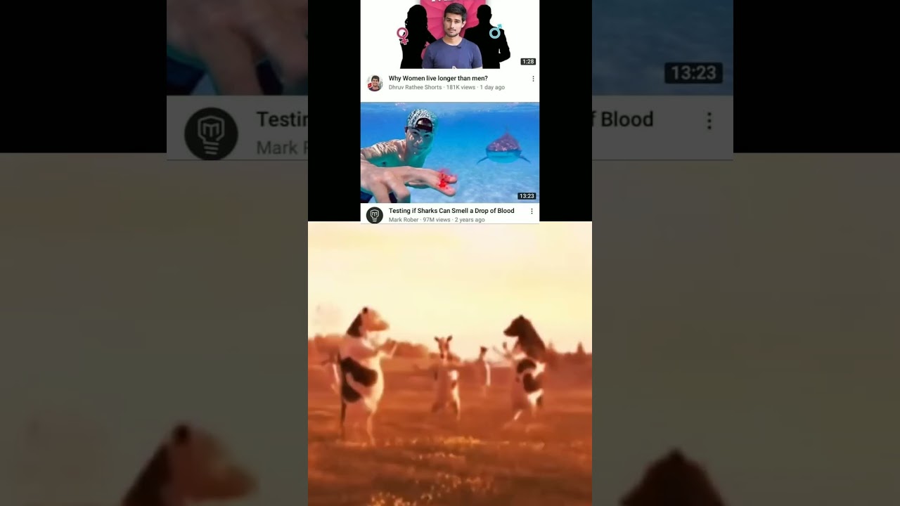 DON'T CLICK THE SOUND ☠️🌚 