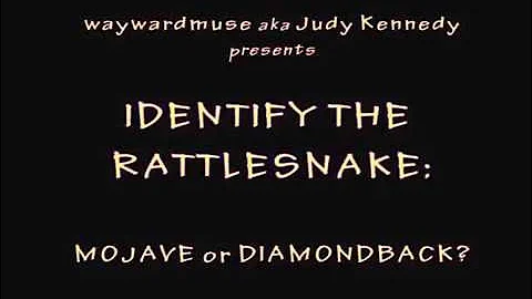 Identify the Rattlesnake: Mojave or Diamondback?