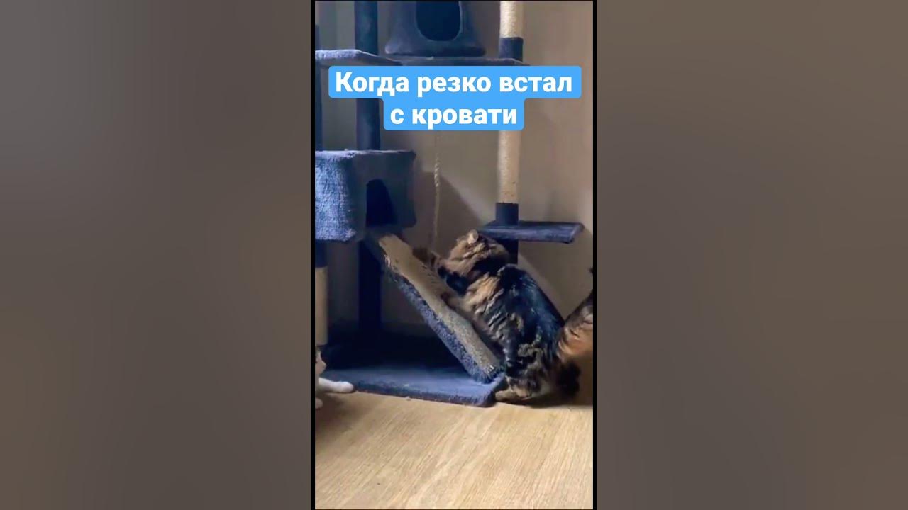 Когда резко просыпаешься что это. Резко встал с кровати. когда резко встал с кровати. резко встал. когда резко встал.