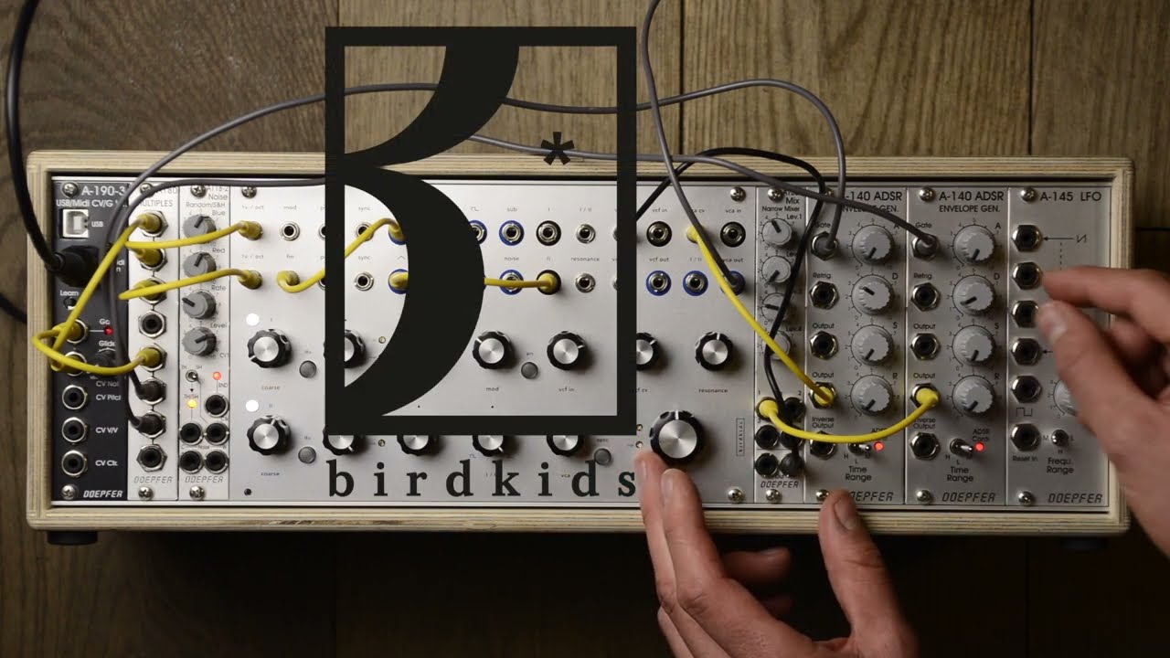 Birdkids Raven Voice