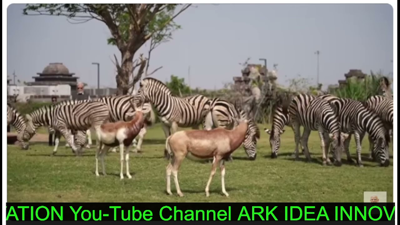 Prime Minister Narendra Modi inaugurated and visited Vantara in Jamnagar, Gujarat