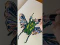 #markerdrawing #markerart #drawing #art #sketchbookpage #sketchbookart #artist #beetle