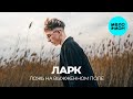 ларк - ложь на выжженном поле (Single 2025)