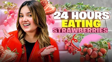 24 Hours Only Eating Strawberries Challenge!🍓🔥 | Rabeeca Khan |
