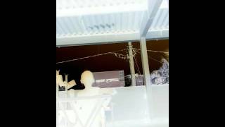 Jornal Nacional ........