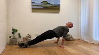 Reverse Plank Progressions