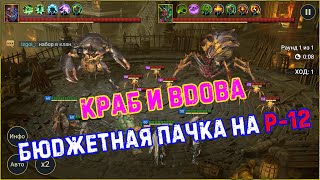 ✨Raid SL / Прохождение двух боссов на локации проклятого города Р-12. Бюджетная пачка!