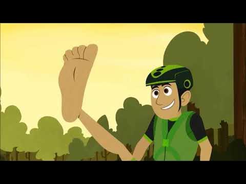 Wild Kratts - Chris Kratt Foot - YouTube