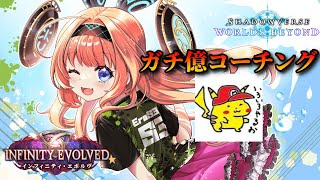 【シャドバWB】ナイトメア編 かものはしさんにガチ億コーチング！【Infinity Evolved / インフィニティ・エボルヴ】