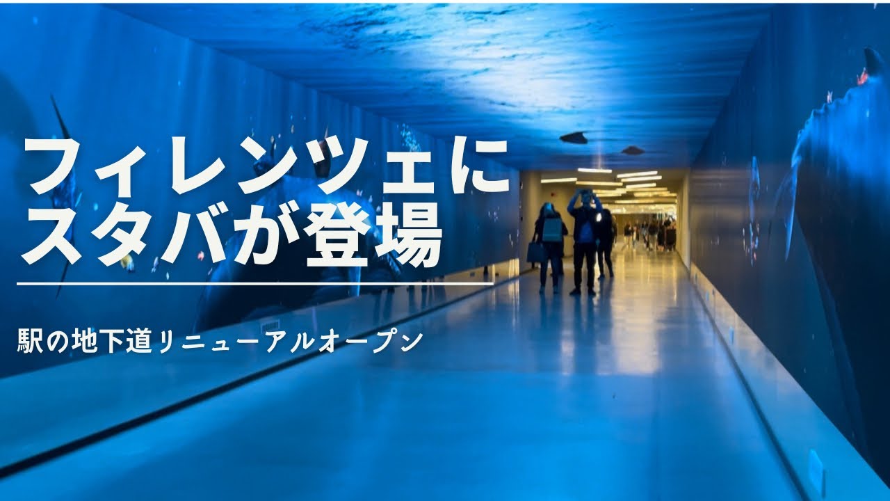 The underpass of Florence Santa Maria Novella Station has been