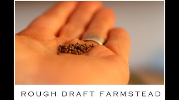 Changing it up in the 2019 Garden (With Bonus Soil Block Demo)