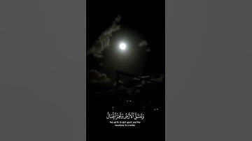 وقالوا اتخذ الرحمن ولدا  القارئ شريف مصطفى || اكتب شيئ تؤجر عليه 🤍