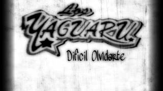 Video thumbnail of "Yaguaru - Dificil Olvidarte"