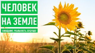 Почему успешные люди уезжают жить в деревню?