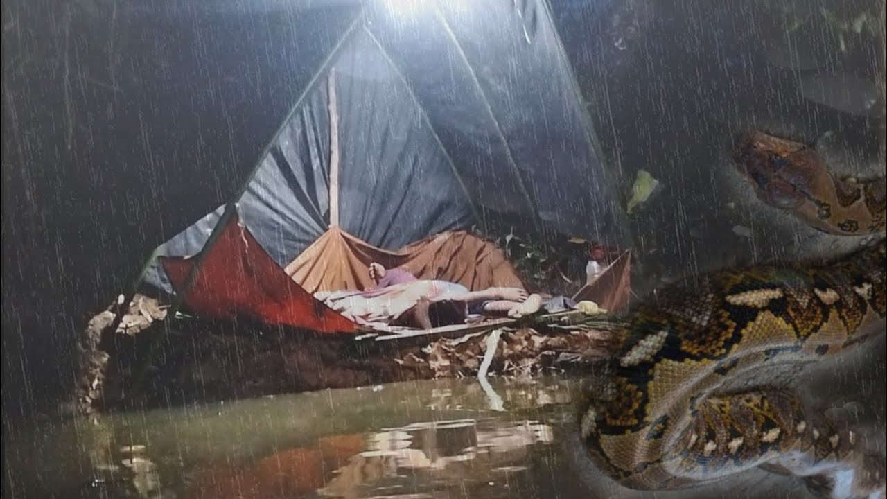 camping hujan deras di incar ular piton besar berburu ikan saat air banjir tidur nyenyak sampai pagi
